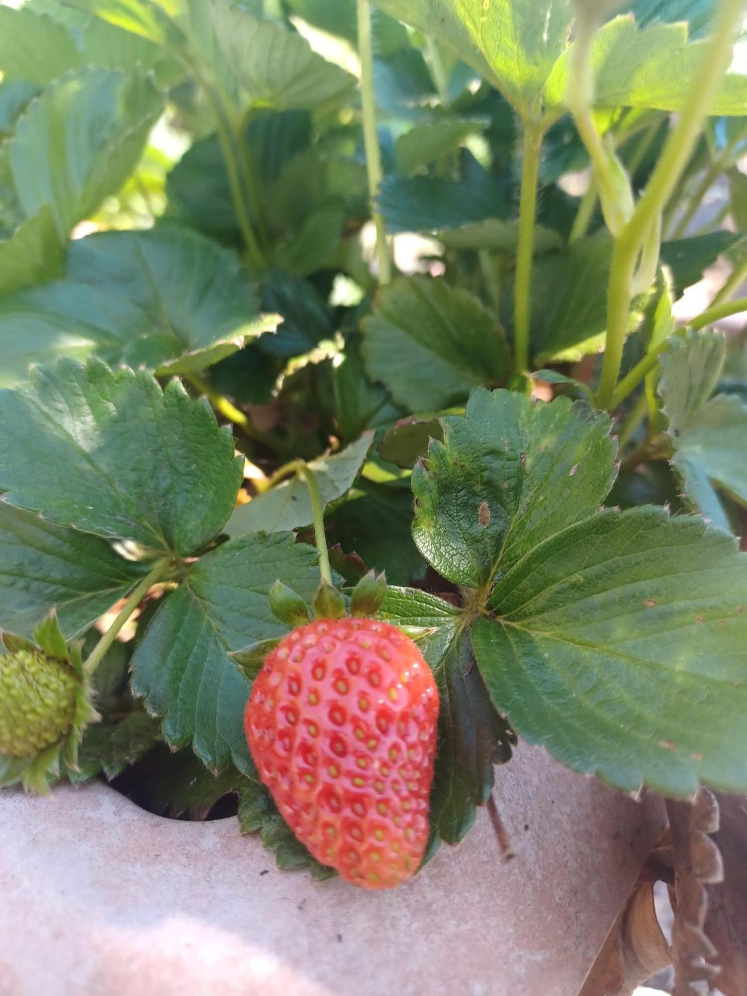 Finca De Luna ラ・オロタバ エクステリア 写真