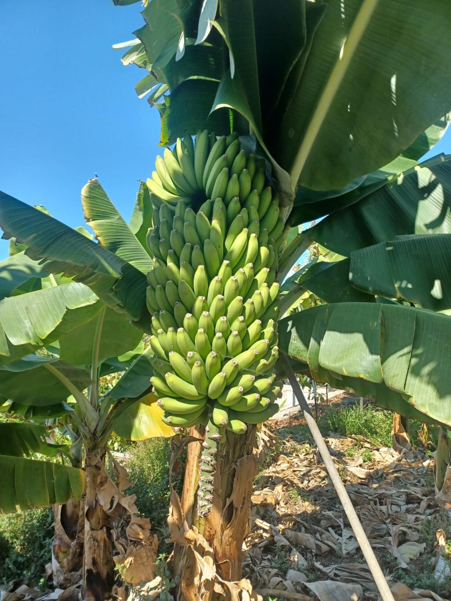 Finca De Luna ラ・オロタバ エクステリア 写真