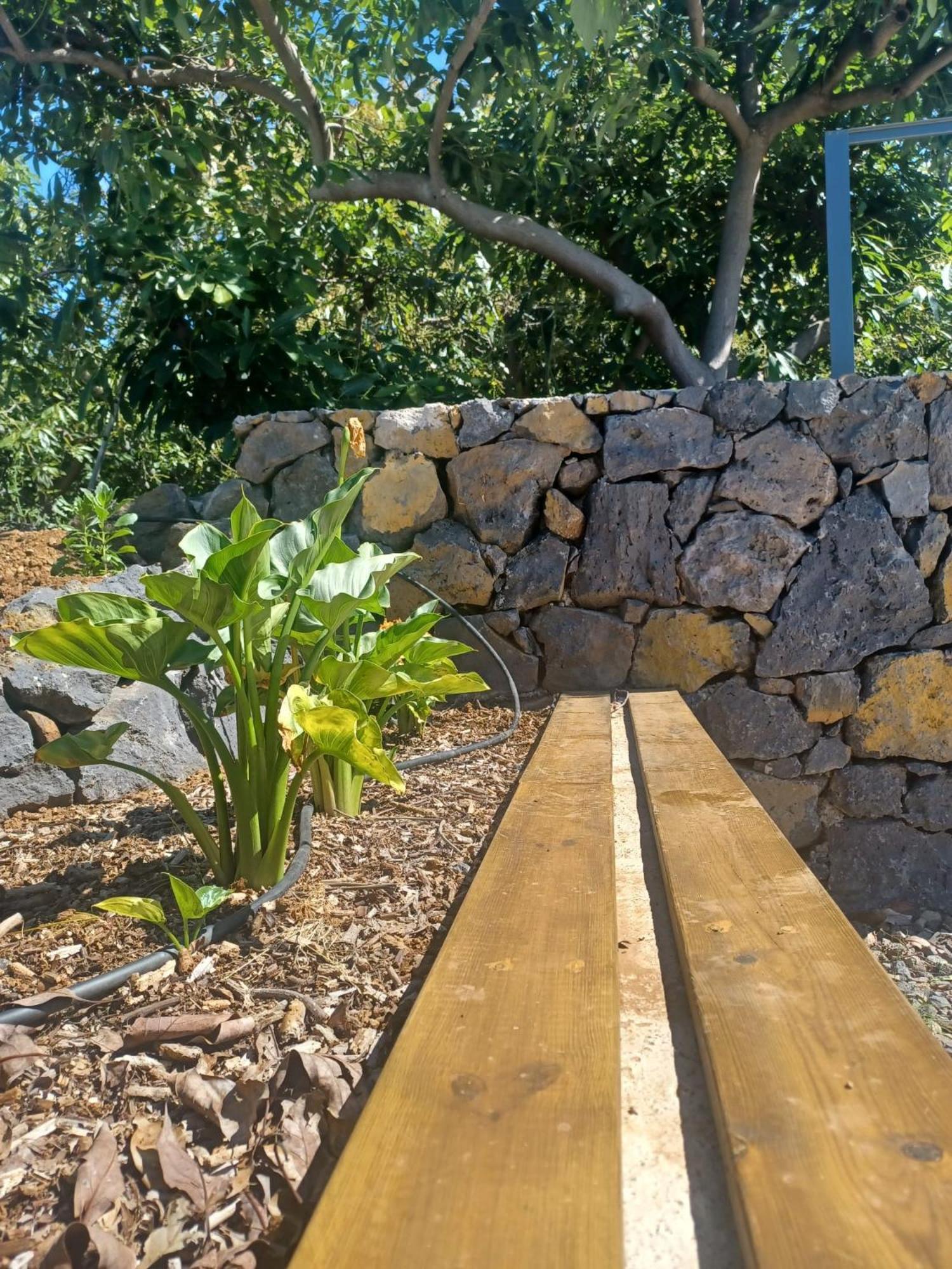 Finca De Luna ラ・オロタバ エクステリア 写真