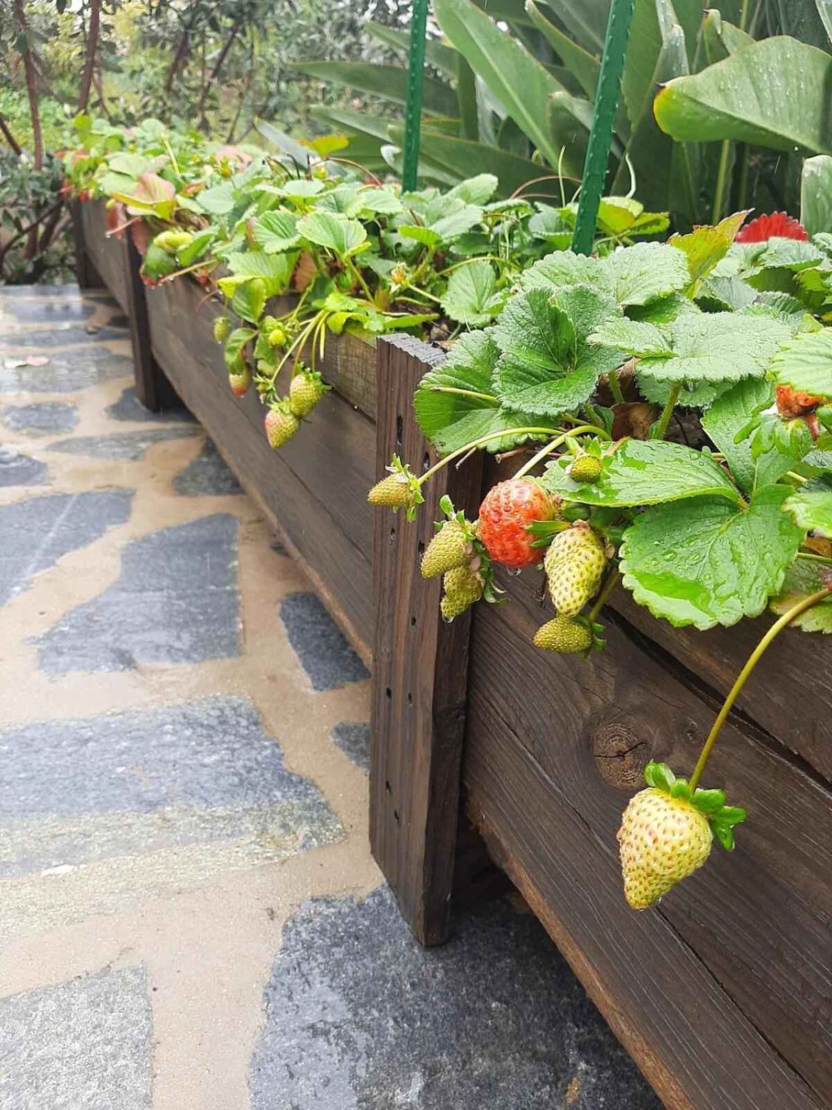 Finca De Luna ラ・オロタバ エクステリア 写真